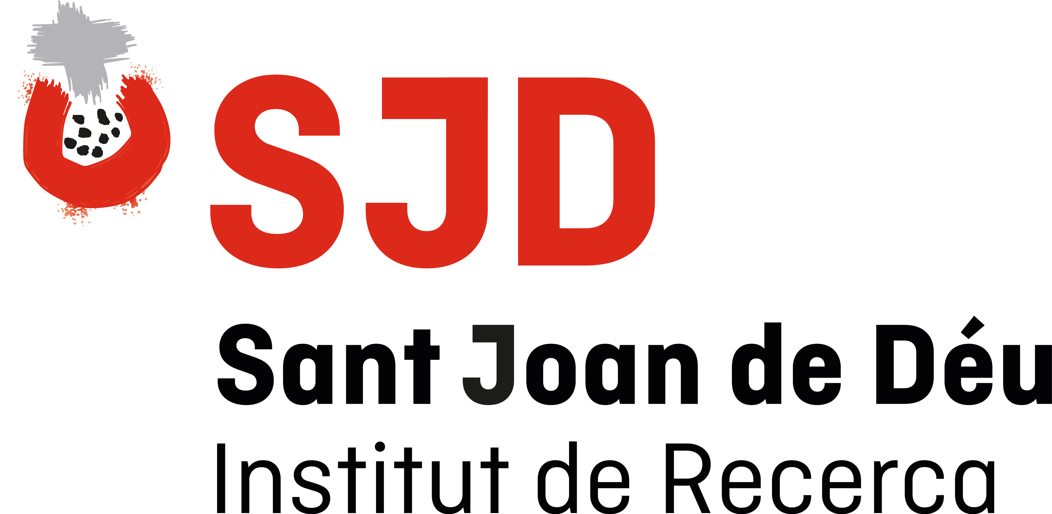 logo_IRSJD
